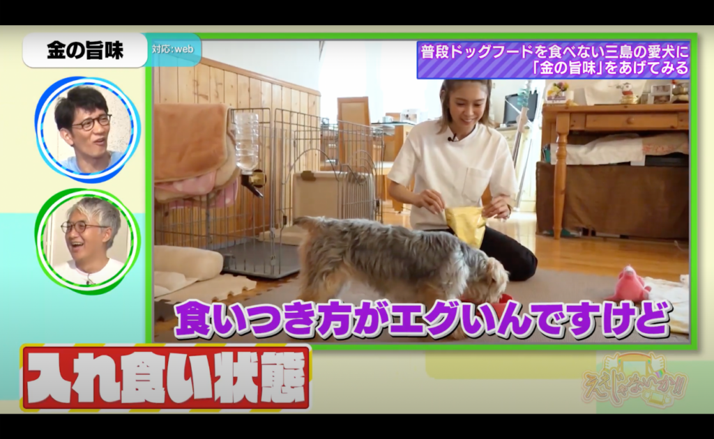 金の旨味メディア